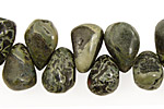 Green Conglomerate Jasper Teardrop 8-10x13-16mm
