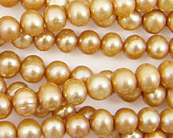 Champagne Potato 6x6.5-7mm
