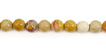 Fossil Coral Round 6mm