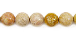 Fossil Coral Round 10mm