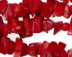 Coral Chips