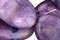 Purple Wave Agate Beads
