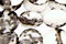 Mexican Zebra Jasper Beads