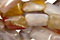 Brown Flower Agate Beads