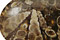Turritella Agate Beads