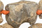 Fossil Beads