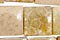 Fossil Coral Beads