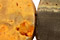 Mexican Sunflower Agate Beads