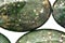 Green Chalcopyrite Beads