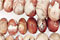 Rosetta Lace Agate Beads
