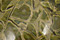 African Green Jasper Cabochons