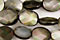 Black Shell Beads