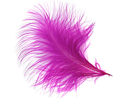 Magenta Marabou Feather 100-152mm