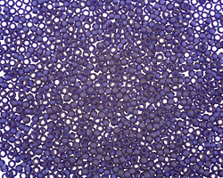 TOHO Transparent Frosted Cobalt Round 15/0 Seed Bead