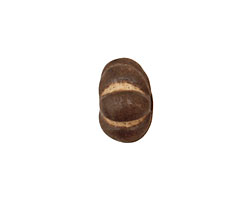 Gaea Ceramic Cream on Chocolate Lantern 9x15-16mm
