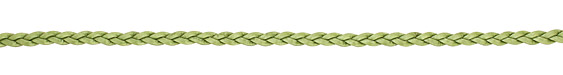 Juniper (metallic) Flat Braided Leather Cord 5mm