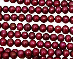 Pepper Red Potato 4.5-5mm