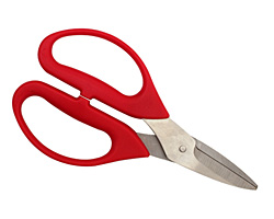 Leather Scissors