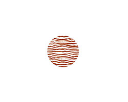 Lillypilly Bronze Zebra Anodized Aluminum Disc 11mm, 24 gauge