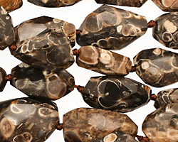 Turritella Agate Faceted Nugget 14-20x10-14mm