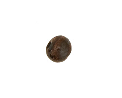 Gaea Ceramic Sunburn on Chocolate Organic Round 9-10x12-13mm