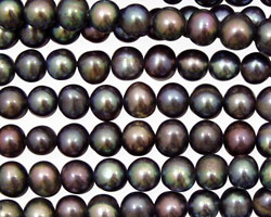 Peacock Potato 5-5.5mm
