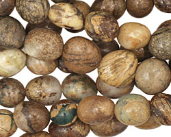 Green Vein Jasper Tumbled Nugget 7-11x10-14mm