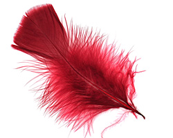 Mulberry Turkey Flat Feather 100-152mm