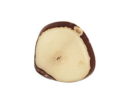 Tagua Nut Cream Banana Chip 22-29x16-22mm