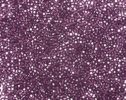 TOHO Transparent Frosted Amethyst Round 15/0 Seed Bead