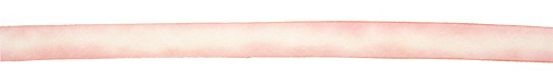 Blushing Bride Hand Dyed 100% Silk Ribbon 7/16"