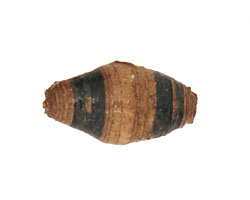 African Paper (tan, jade, tan) Rice 29-30x14-15mm