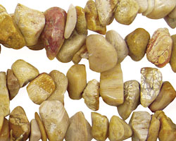 Fossil Coral Chips