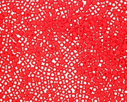 TOHO Opaque Frosted Cherry Round 11/0 Seed Bead
