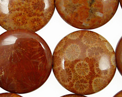 Fossil Coral (red) Puff Coin 25mm