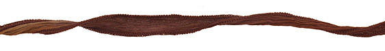Mixed Brown Blend Hand Dyed 100% Silk Ribbon 1/2"
