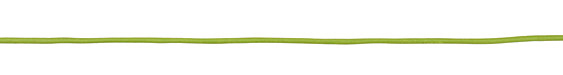 Fern Round Leather Cord 2mm