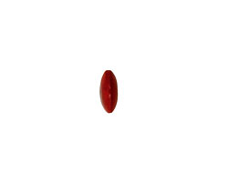 Tagua Nut Coral Rondelle 3x8mm