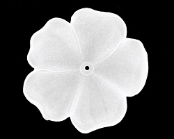 Matte Crystal Lucite 5 Petal Flower 10x36mm