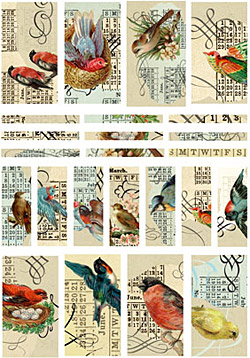 Nunn Design Birds Small Transfer Sheet