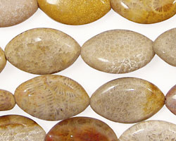 Fossil Coral Horse Eye 19x12mm