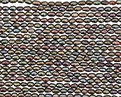 Peacock Rice 2mm