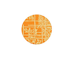 Lillypilly Orange Bamboo Anodized Aluminum Disc 19mm, 24 gauge