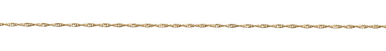 Satin Hamilton Gold (plated) Spiral Chain