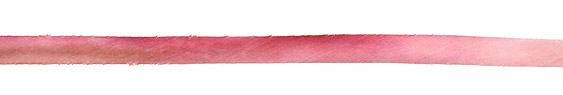 Lingerie Hand Dyed 100% Silk Ribbon 7/16"