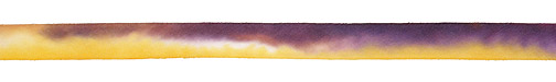 Wild Iris Hand Dyed 100% Silk Ribbon 7/16"