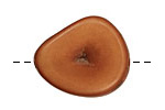 Tagua Nut Honey Banana Chip 22-29x16-22mm