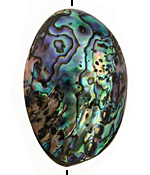 Abalone Puff Oval 55-65x35-45mm