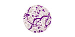 Lillypilly Purple Cherry Blossom Anodized Aluminum Disc 19mm, 24 gauge