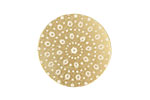 Lillypilly Gold Crochet Anodized Aluminum Disc 25mm, 22 gauge